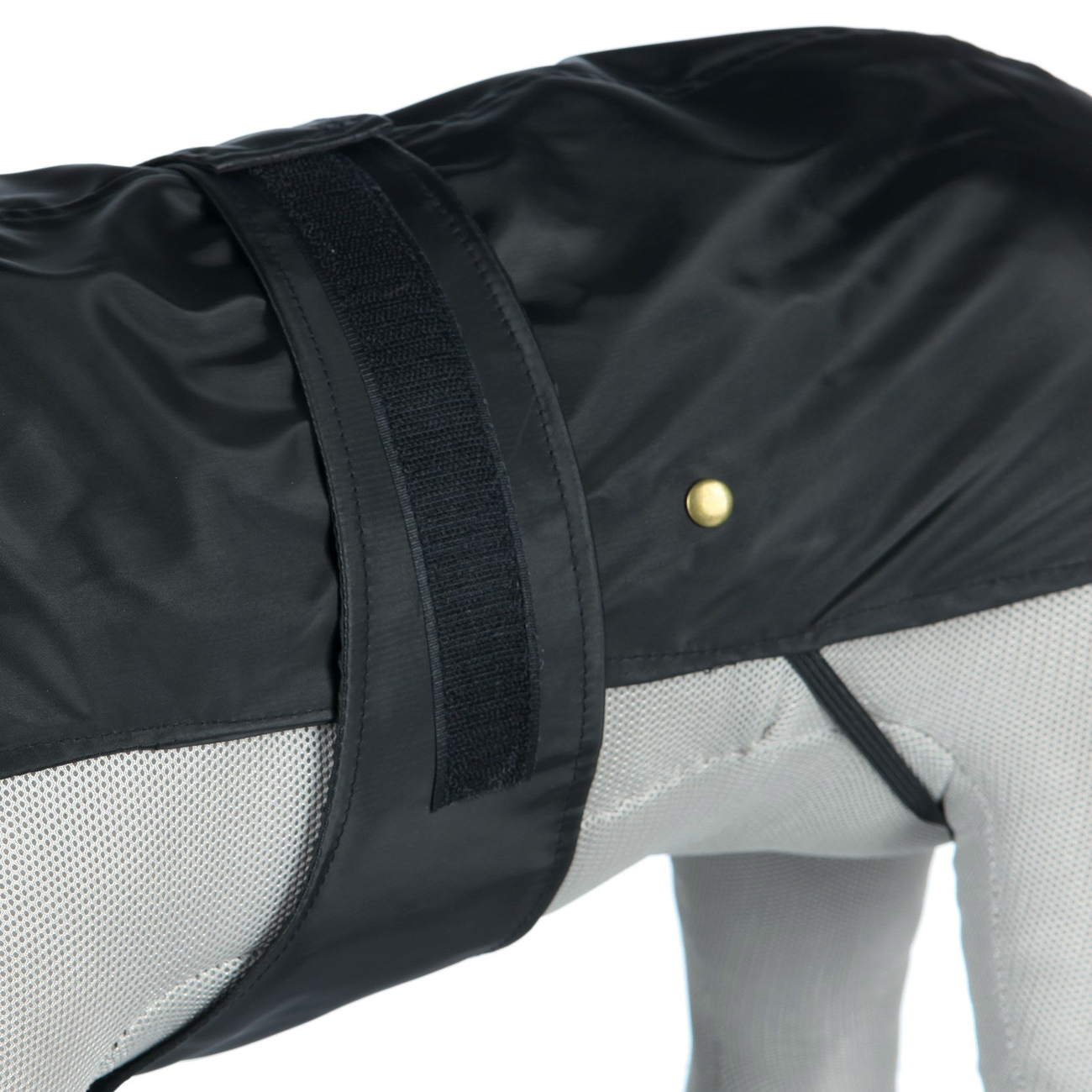 Hundemantel Paris Bild 8