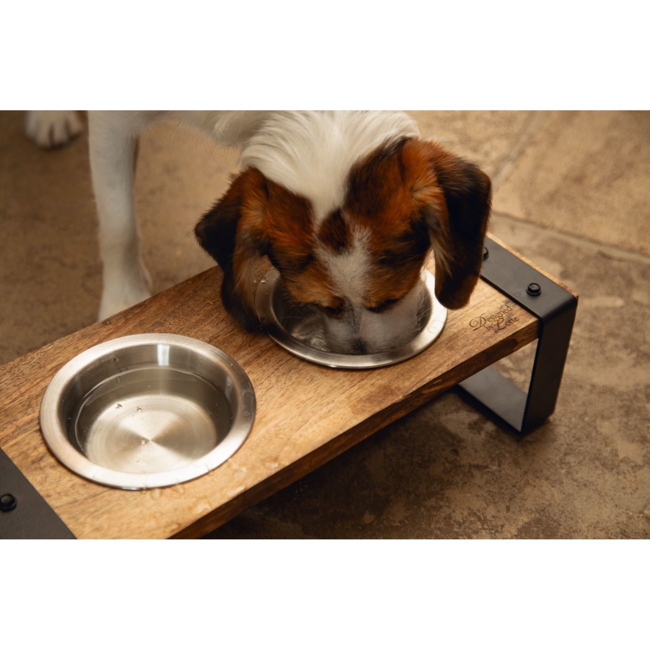 Hundenapf Set KARINTO Bild 2