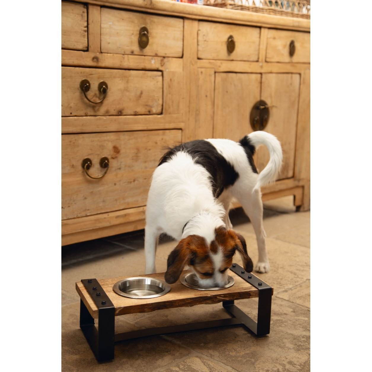 Hundenapf Set KARINTO Bild 4