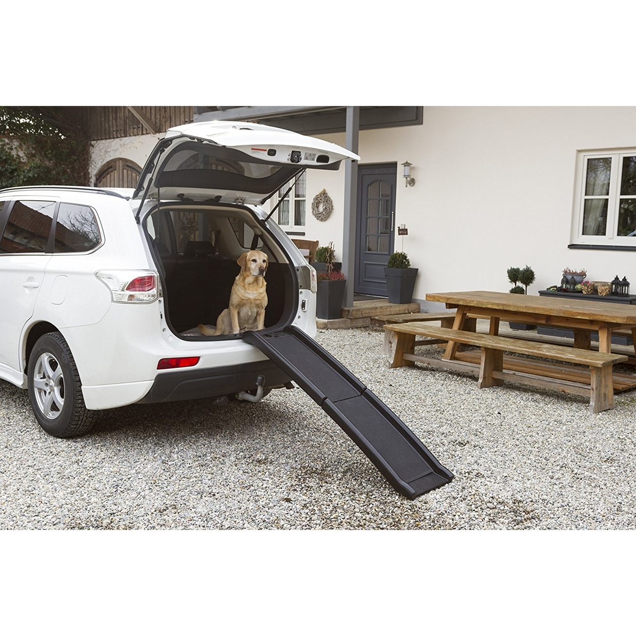 Hunderampe aus Kunststoff Bild 3