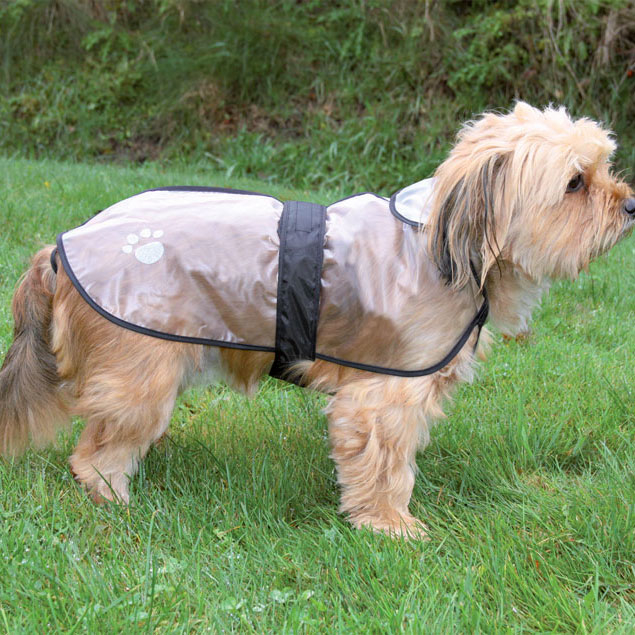 transparenter Hunderegenmantel Tarbes Bild 2
