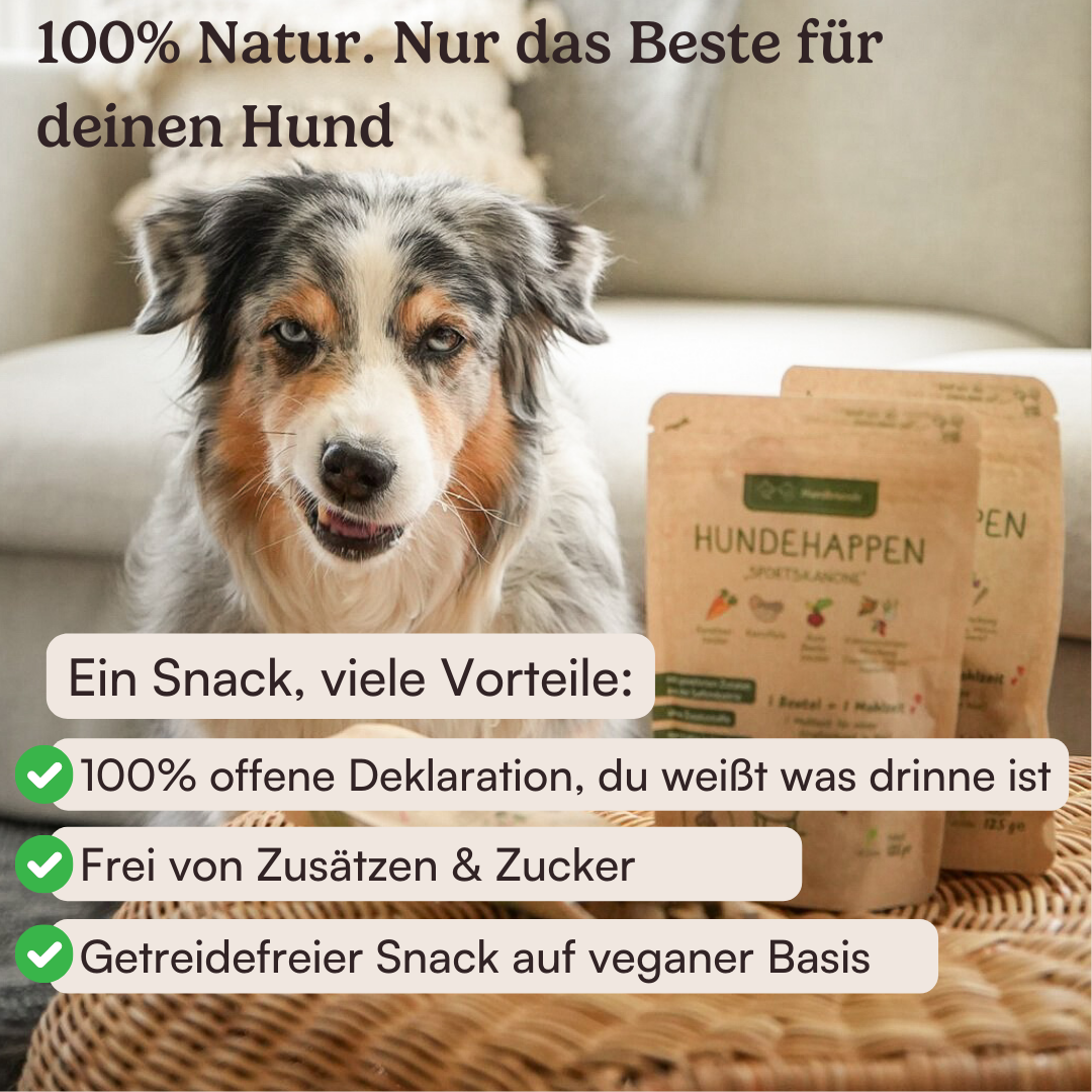 Vegane Hundehappen Probierpaket Bild 2