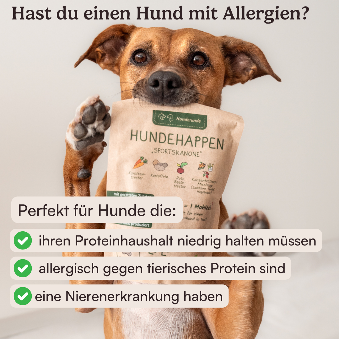 Vegane Hundehappen Probierpaket Bild 3
