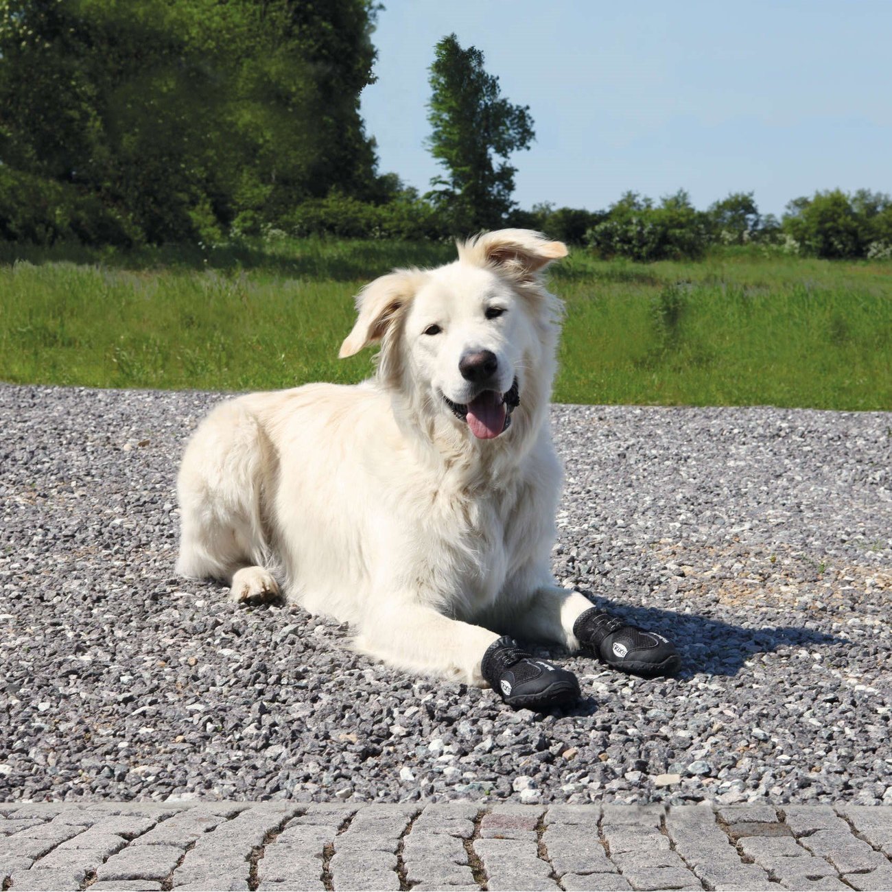 Hundeschuhe Pfotenschutz Walker Active Bild 10