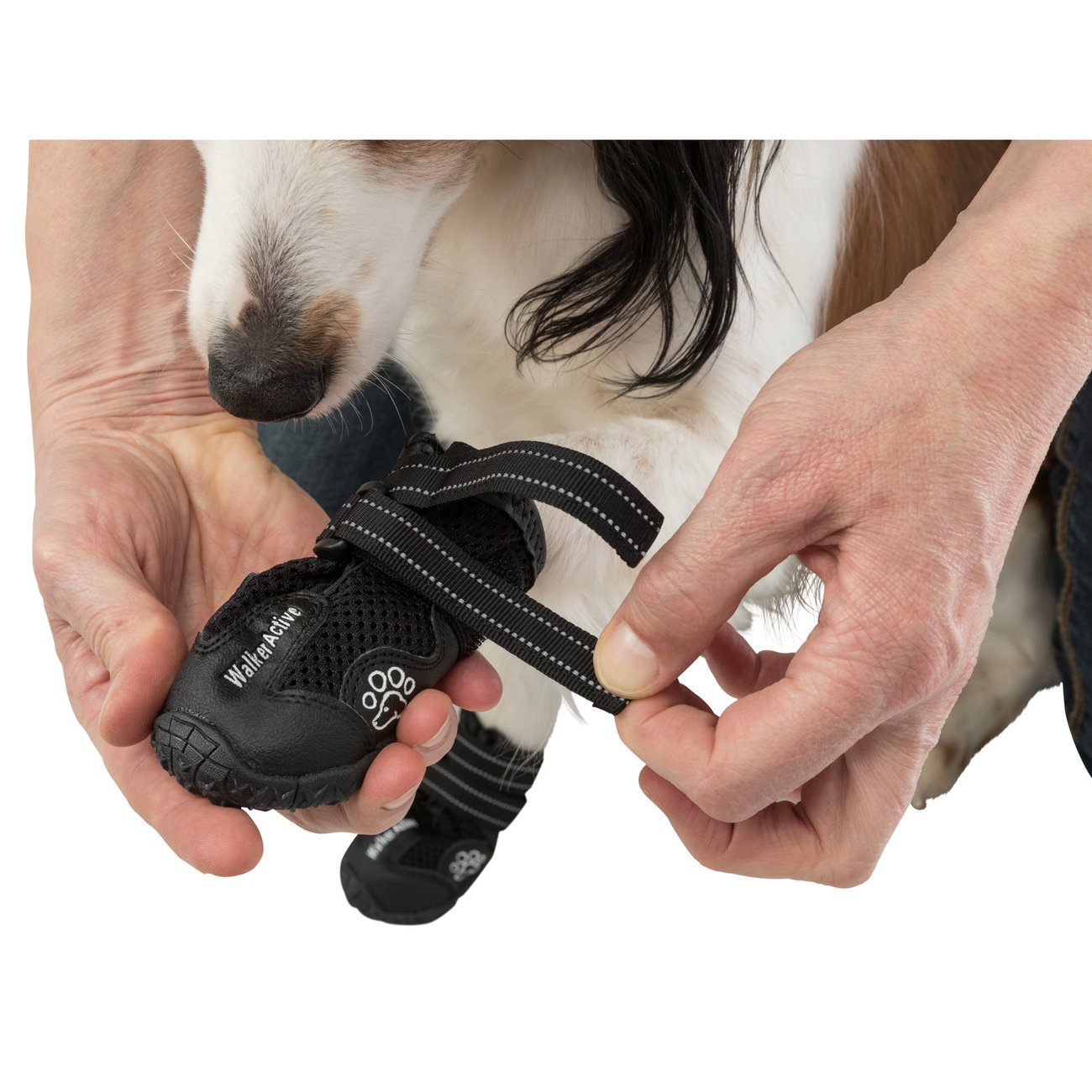 Hundeschuhe Pfotenschutz Walker Active Bild 19