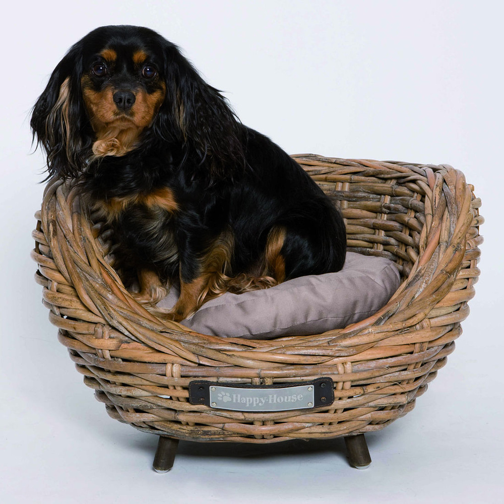Hundesessel oder Katzensessel aus Rattan Bild 2
