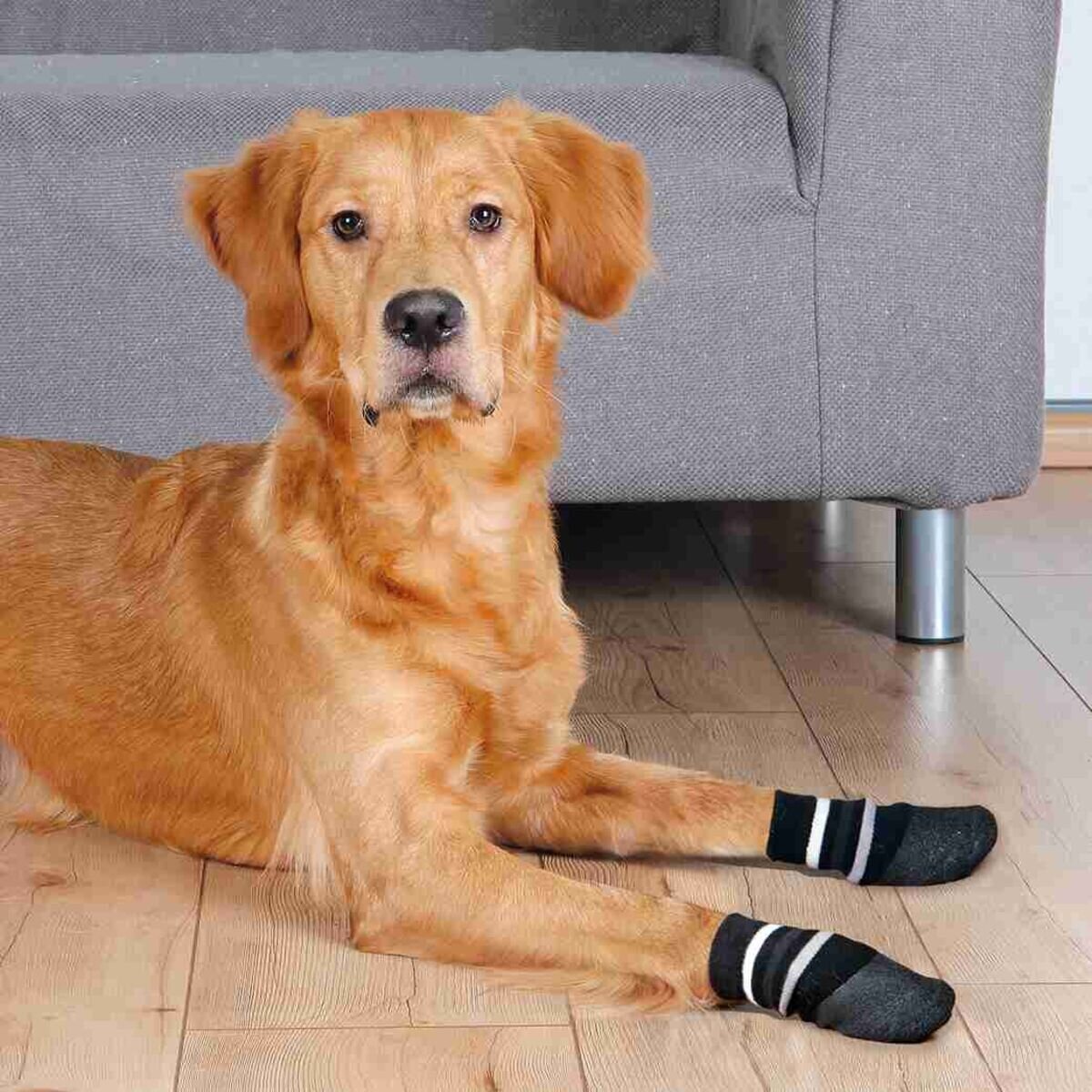 Hundesocken Anti Rutsch Bild 2