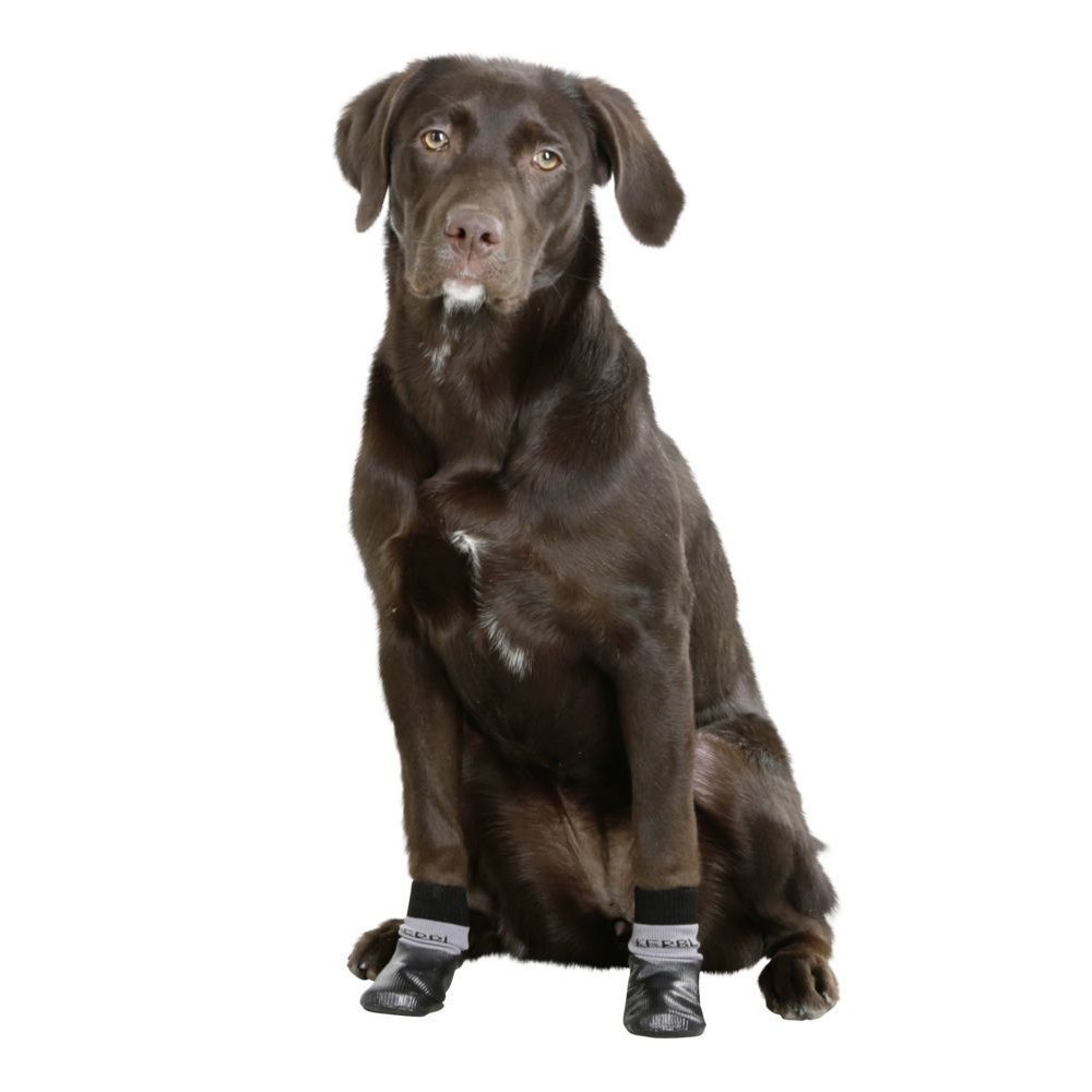 Hundesocken Susi mit Nitrilbeschichtung Bild 4