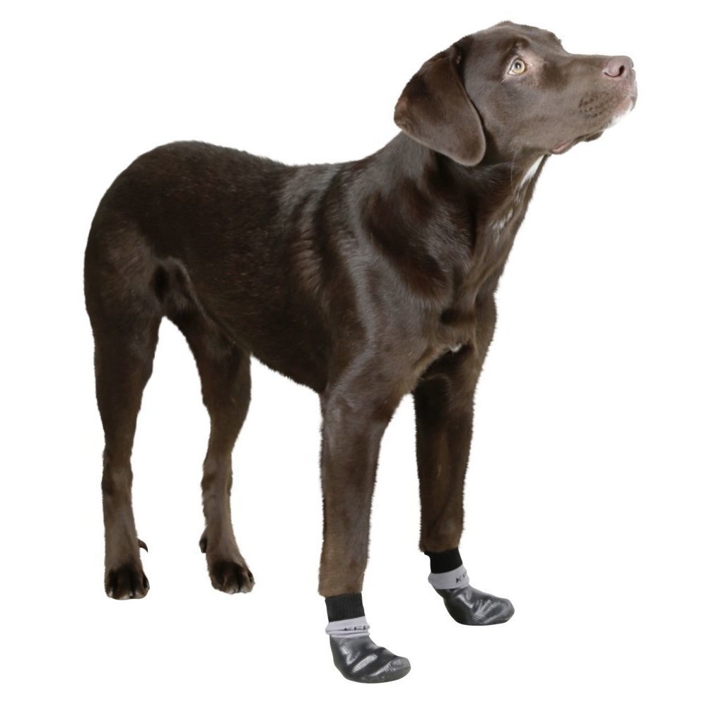 Hundesocken Susi mit Nitrilbeschichtung Bild 2