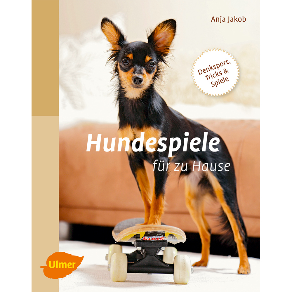 Hundespiele für zu Hause Bild 1