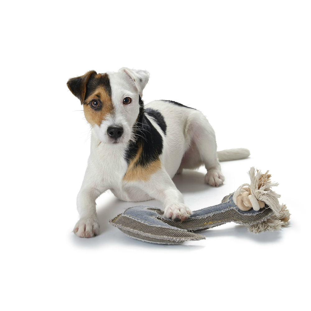 Hundespielzeug Canvas Maritime Bild 3