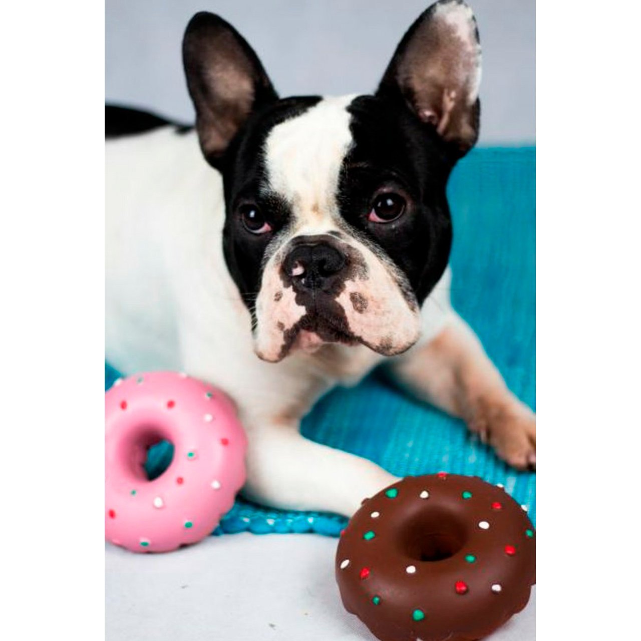 Hundespielzeug Doggy Donut aus Latex Bild 2