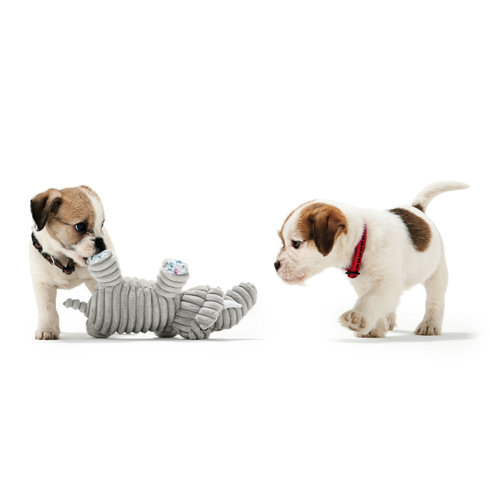 Hundespielzeug Huggly Amazonas Bild 2