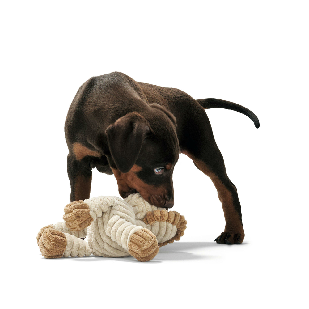 Hundespielzeug Huggly Zoo Bild 4