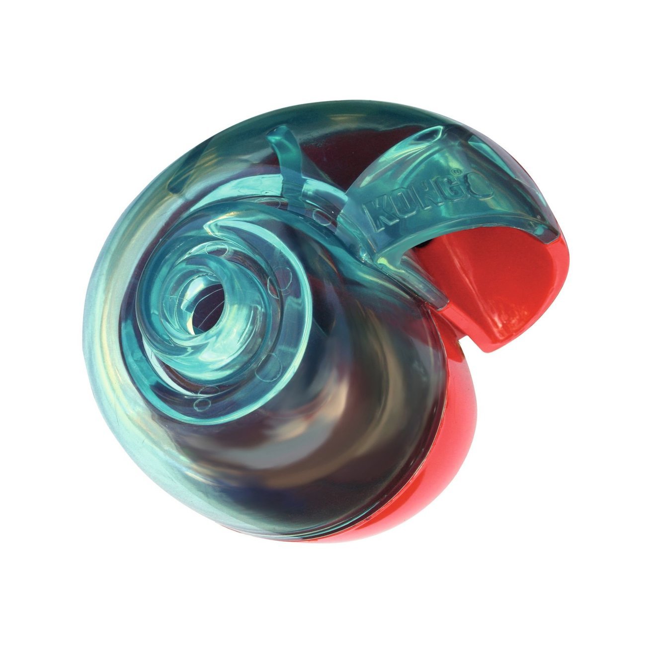 Rewards Shell Muschel Bild 1