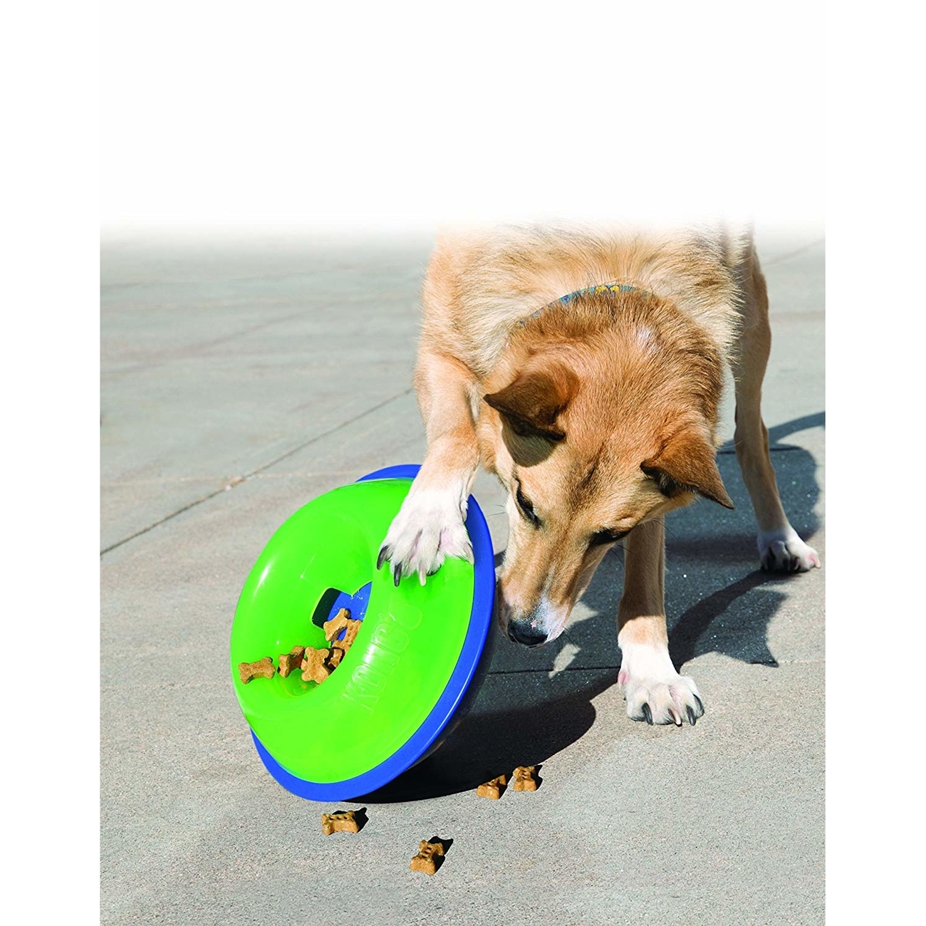 Hundespielzeug KONG Tiltz Bild 3