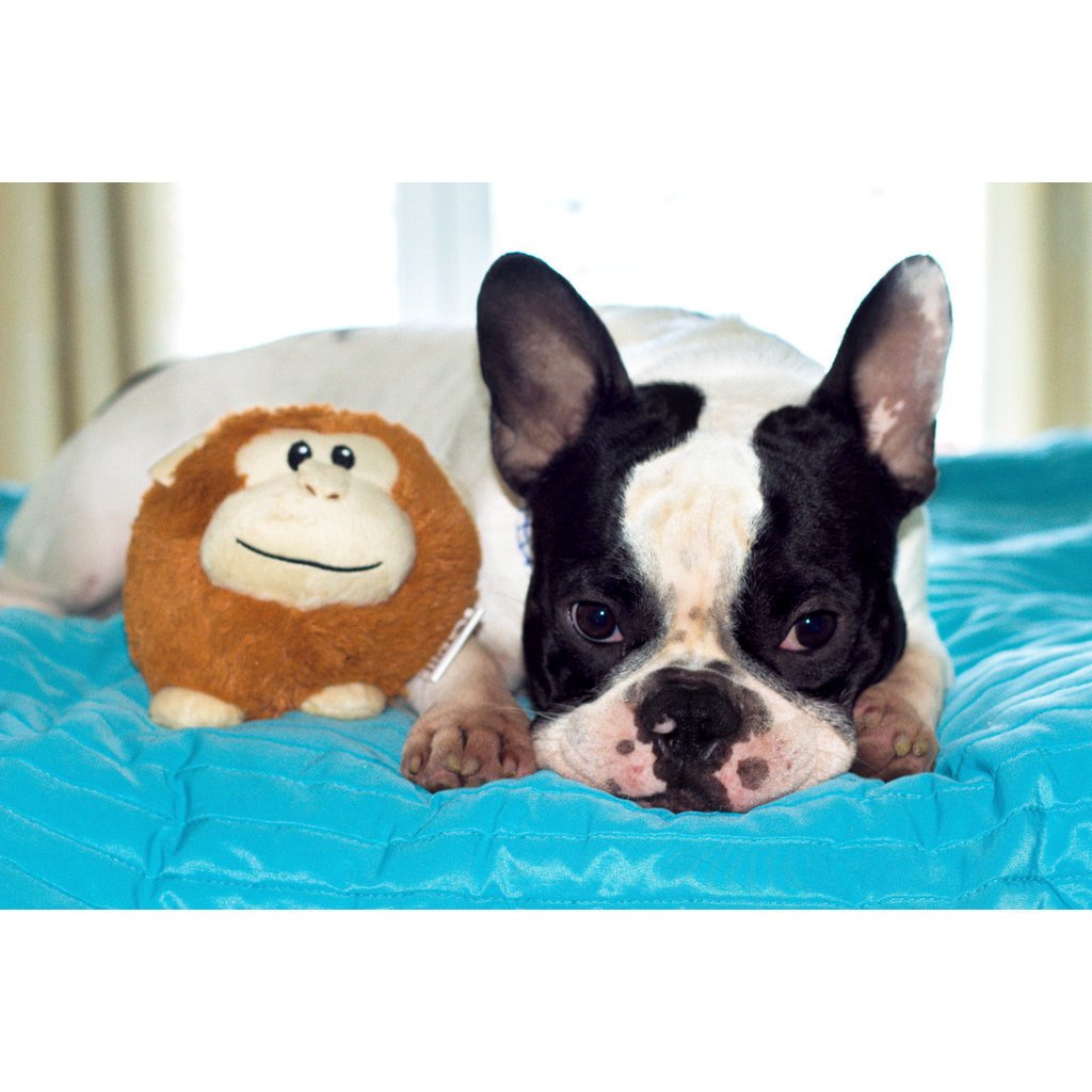 Hundespielzeug Plüsch Moppelchen Bild 5