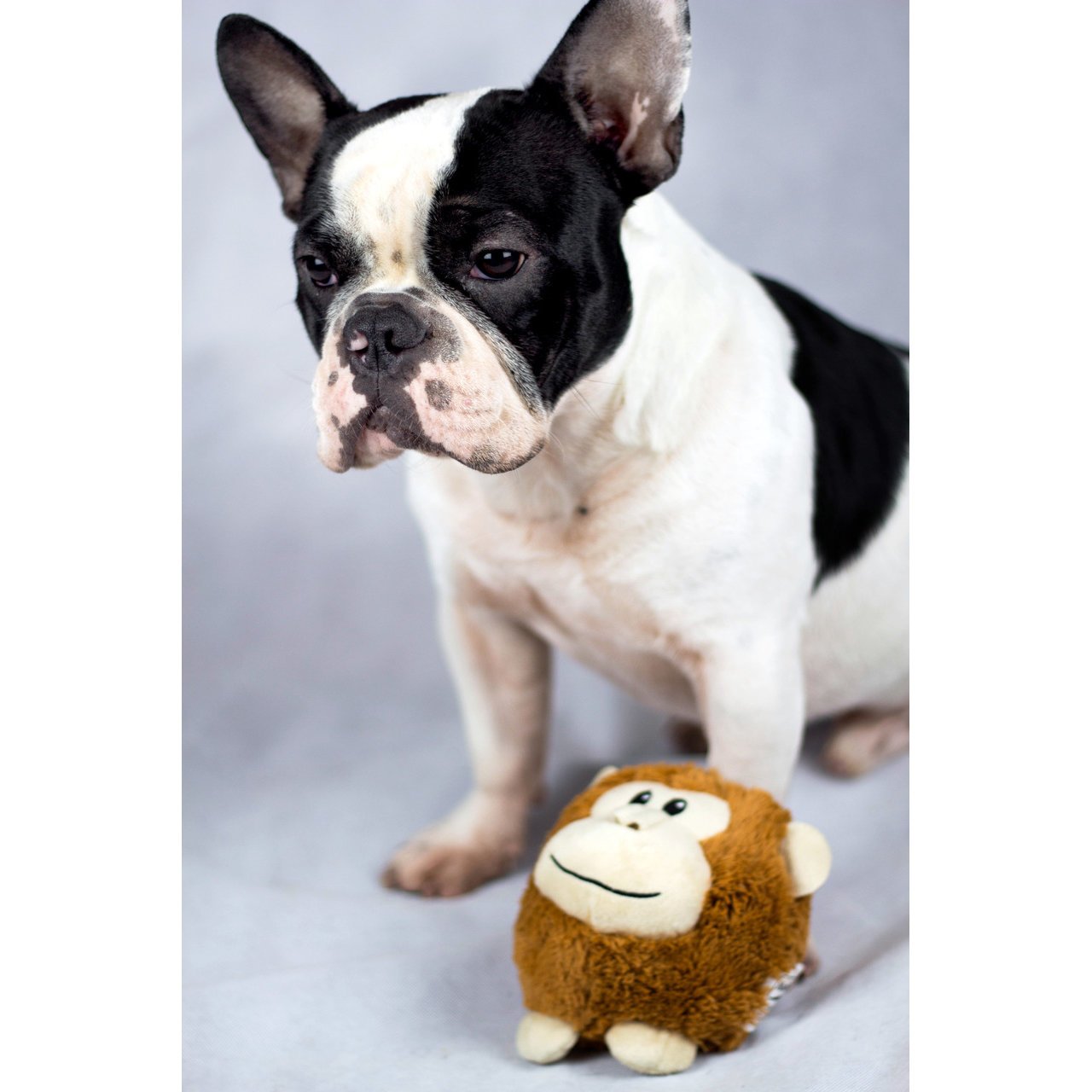 Hundespielzeug Plüsch Moppelchen Bild 8