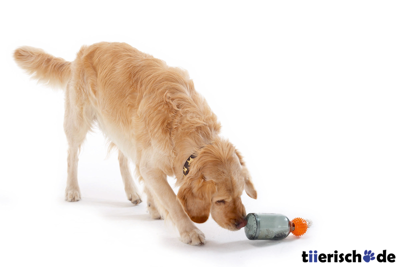 Hundespielzeug Snack Bottle Bild 3