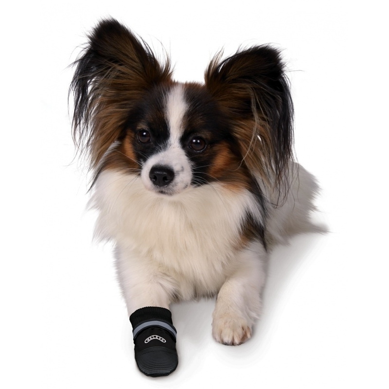 Hundestiefel Pfotenschutz Walker Comfort Bild 5
