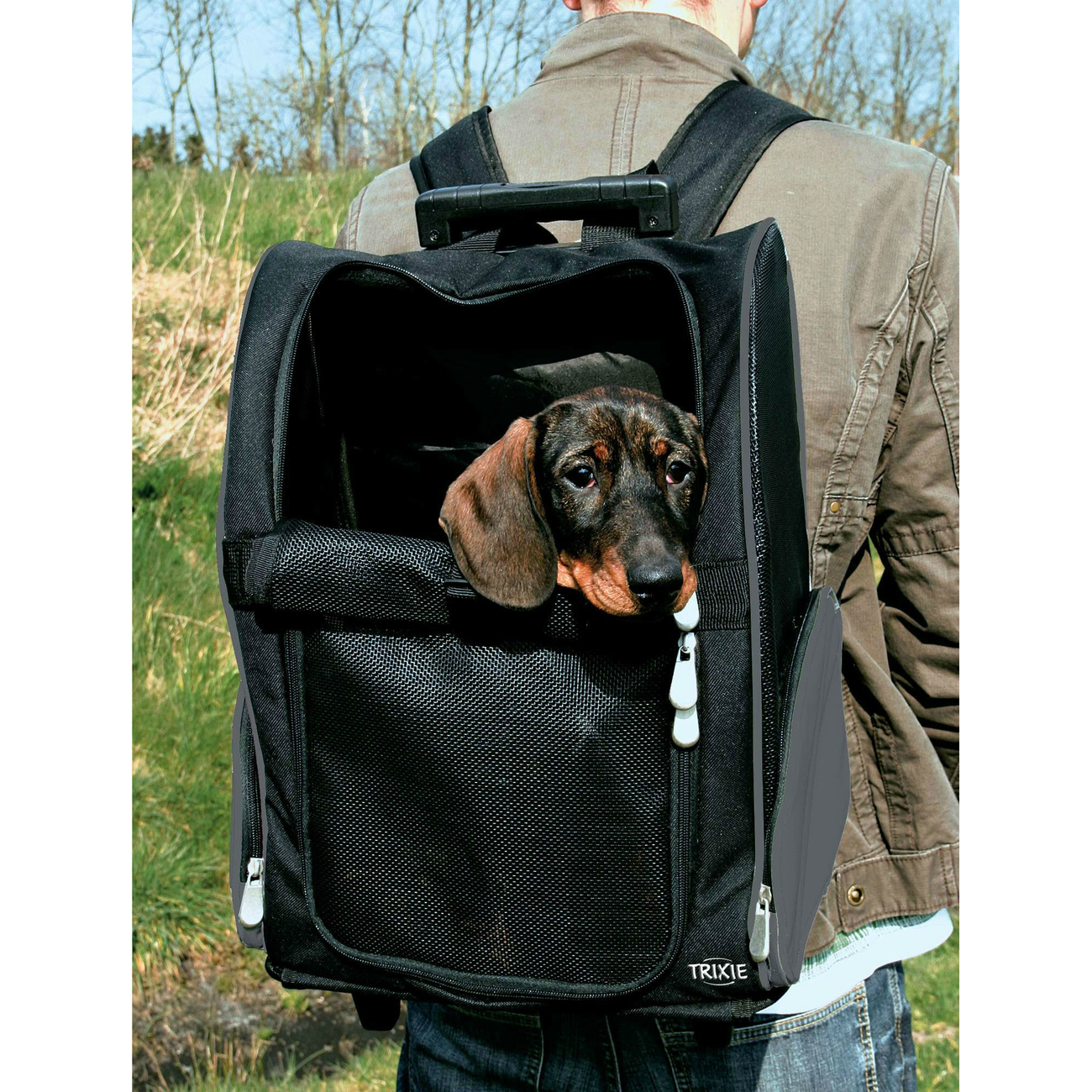 Hundetrolley Rucksack 2in1 Bild 2