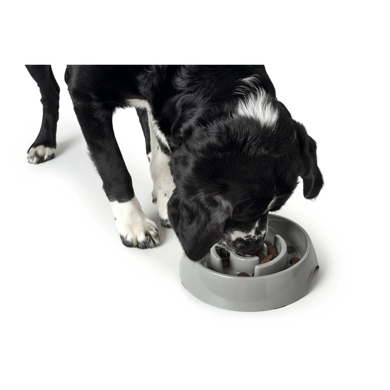 Hunter Anti-Schlingnapf Atlanta Bild 6