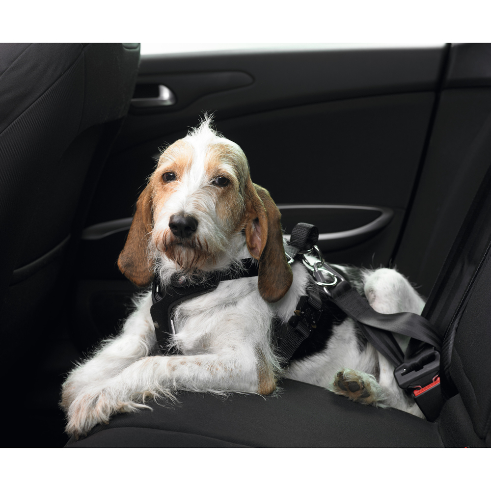 Hunter Auto Hundegeschirr Easy Comfort Bild 4