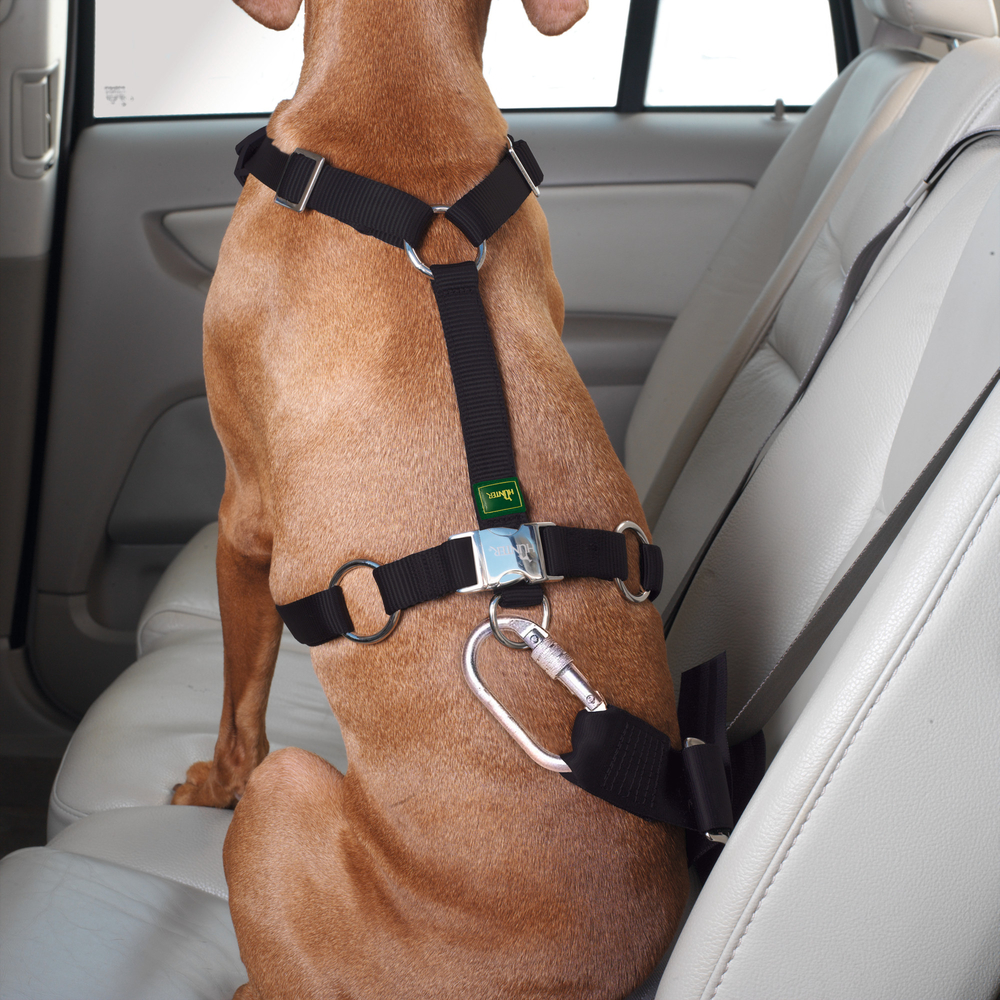 Hunter Auto Hundegeschirr Easy Comfort Bild 5