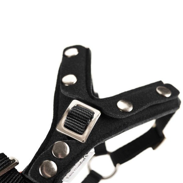 Hunter Auto Hundegeschirr Easy Comfort Bild 6