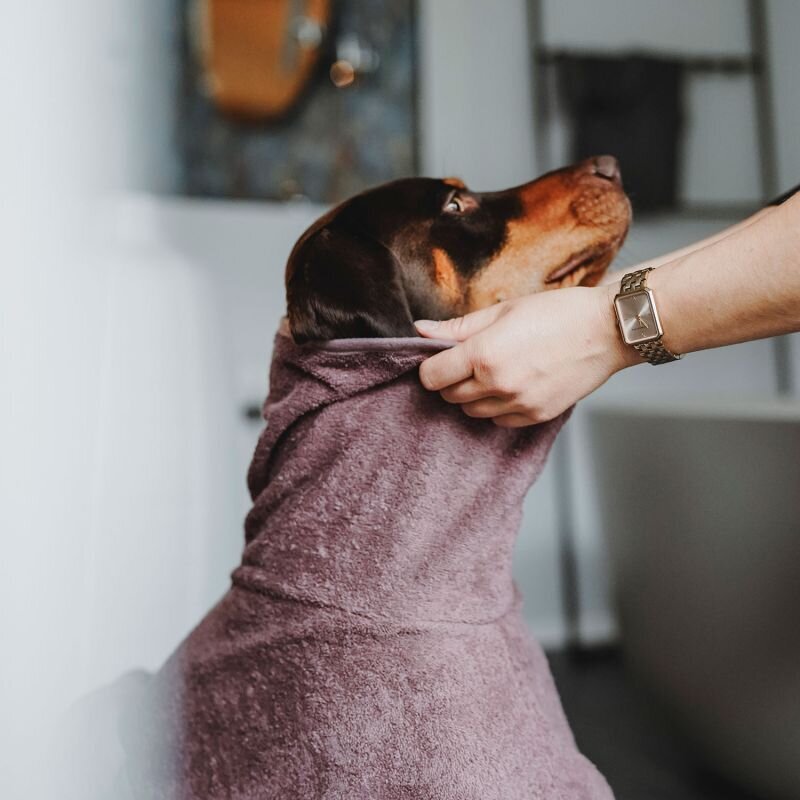 Bademantel Riga für Hunde Bild 23