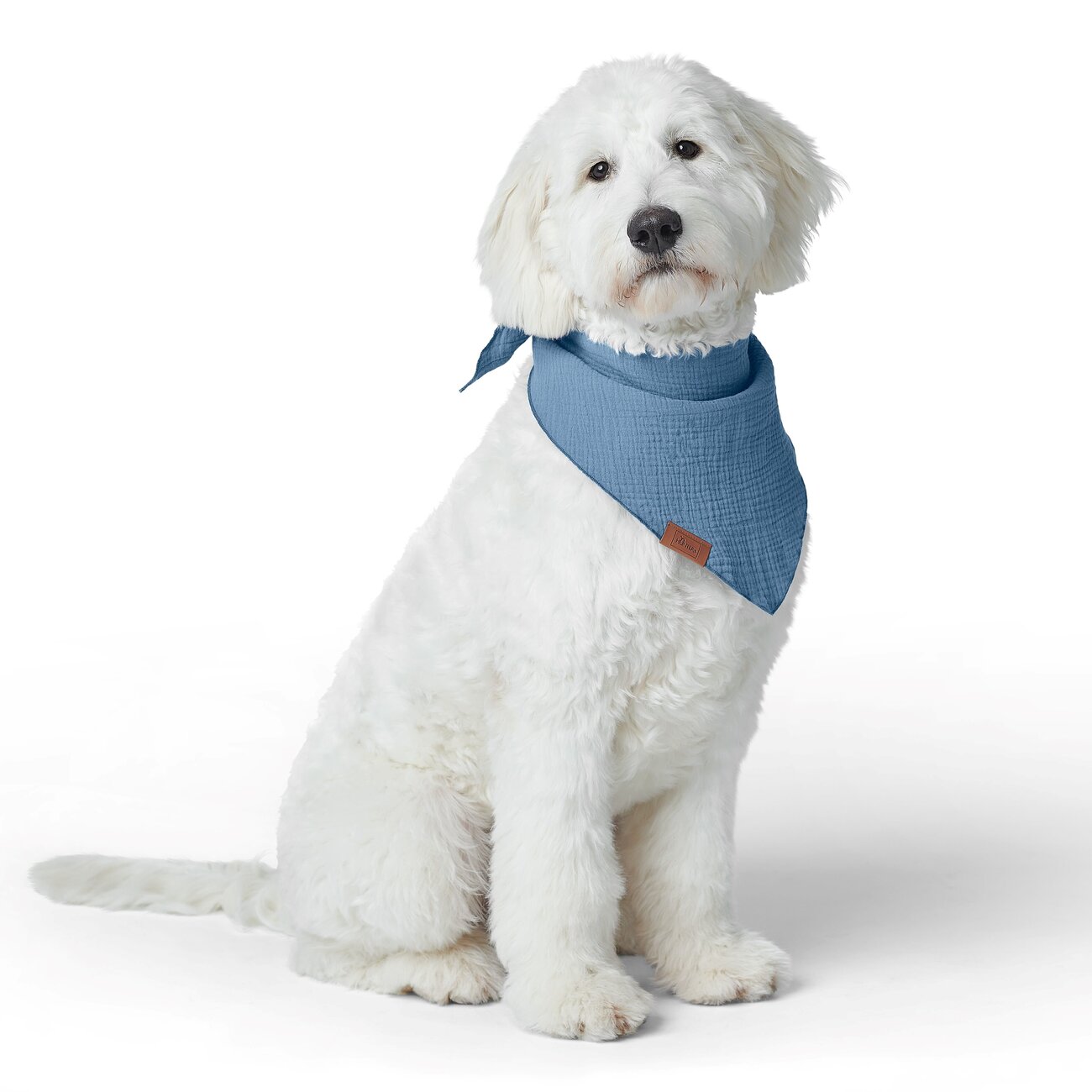 Dreieckstuch Nola für Hunde Bild 6