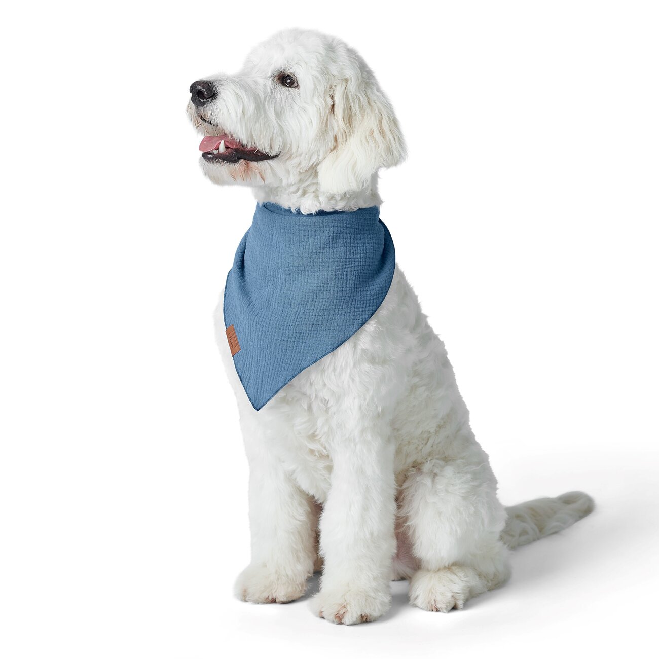 Dreieckstuch Nola für Hunde Bild 7