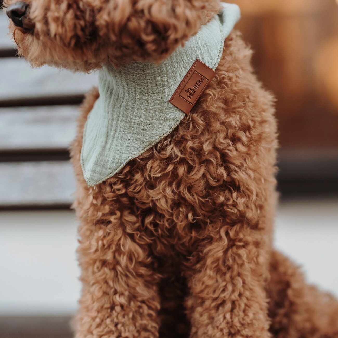 Dreieckstuch Nola für Hunde Bild 14