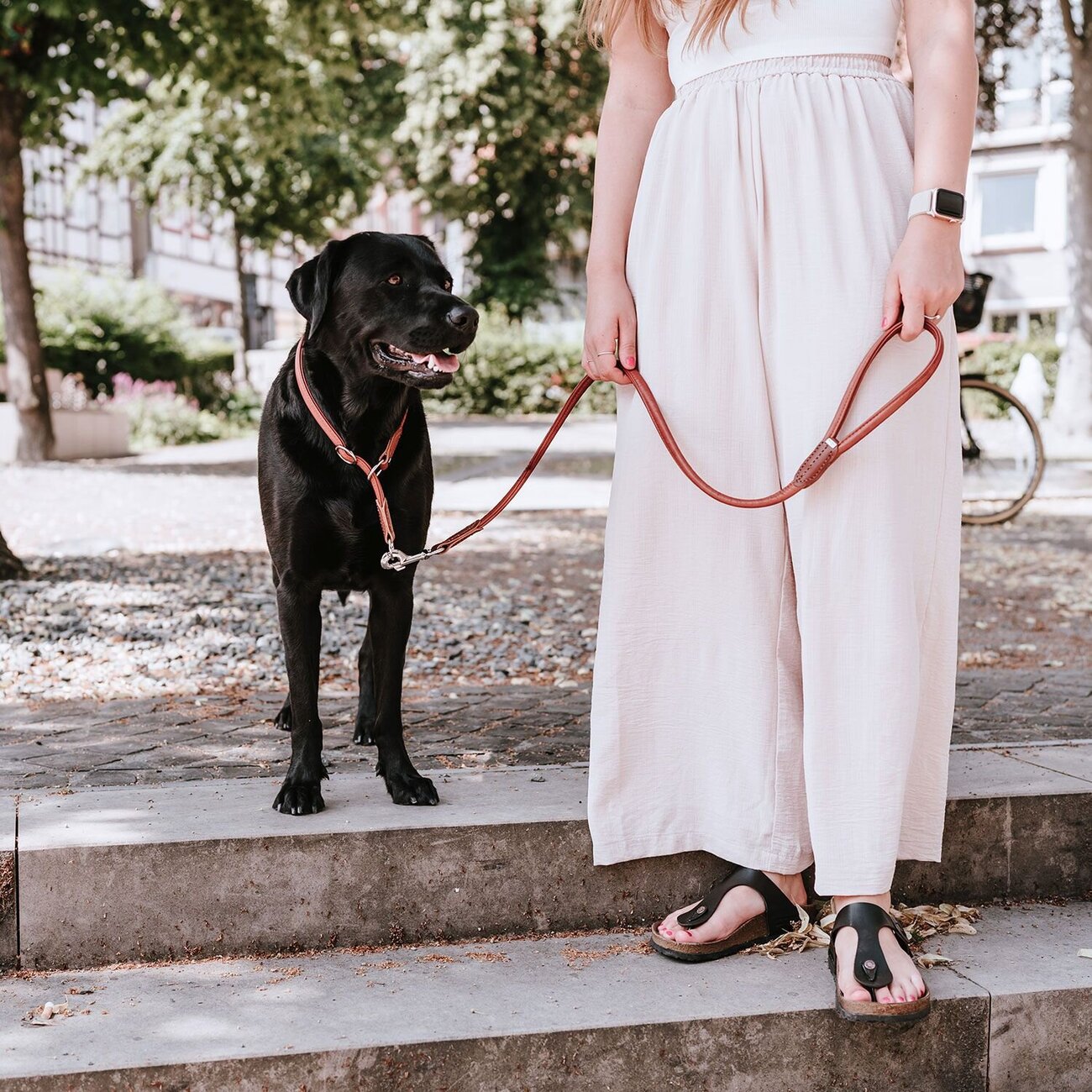 Dressurhalsung Round & Soft Canadian Up Bild 2