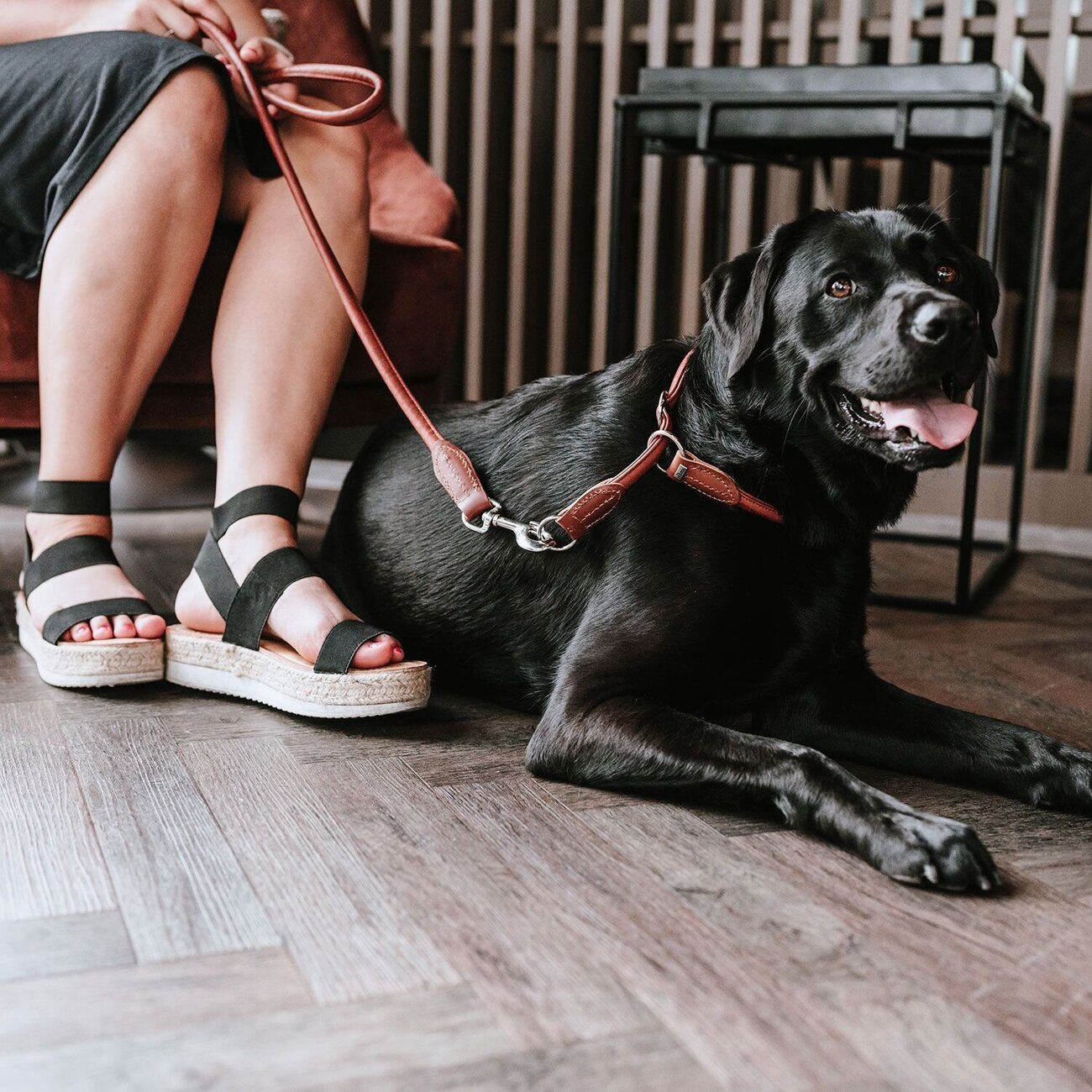 Dressurhalsung Round & Soft Canadian Up Bild 14