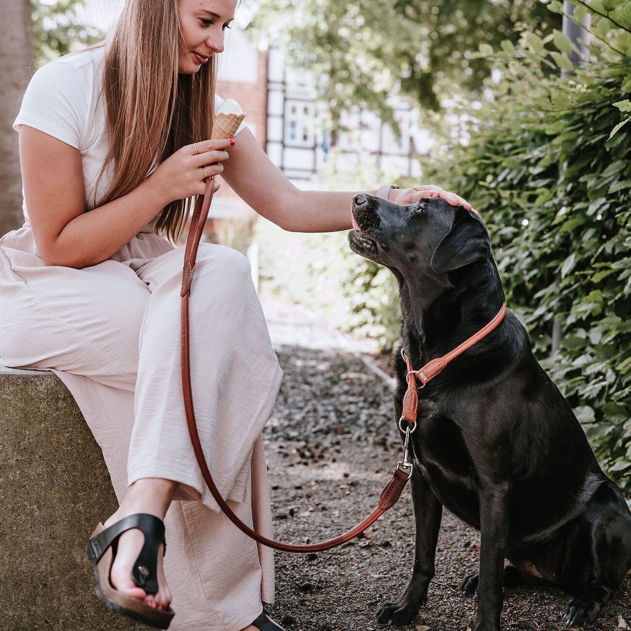 Dressurhalsung Round & Soft Canadian Up Bild 15