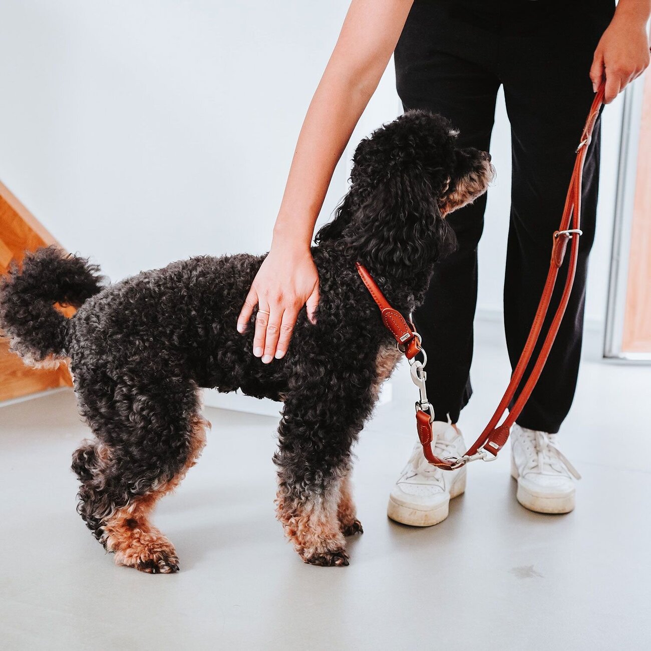 Dressurhalsung Round & Soft Canadian Up Bild 13