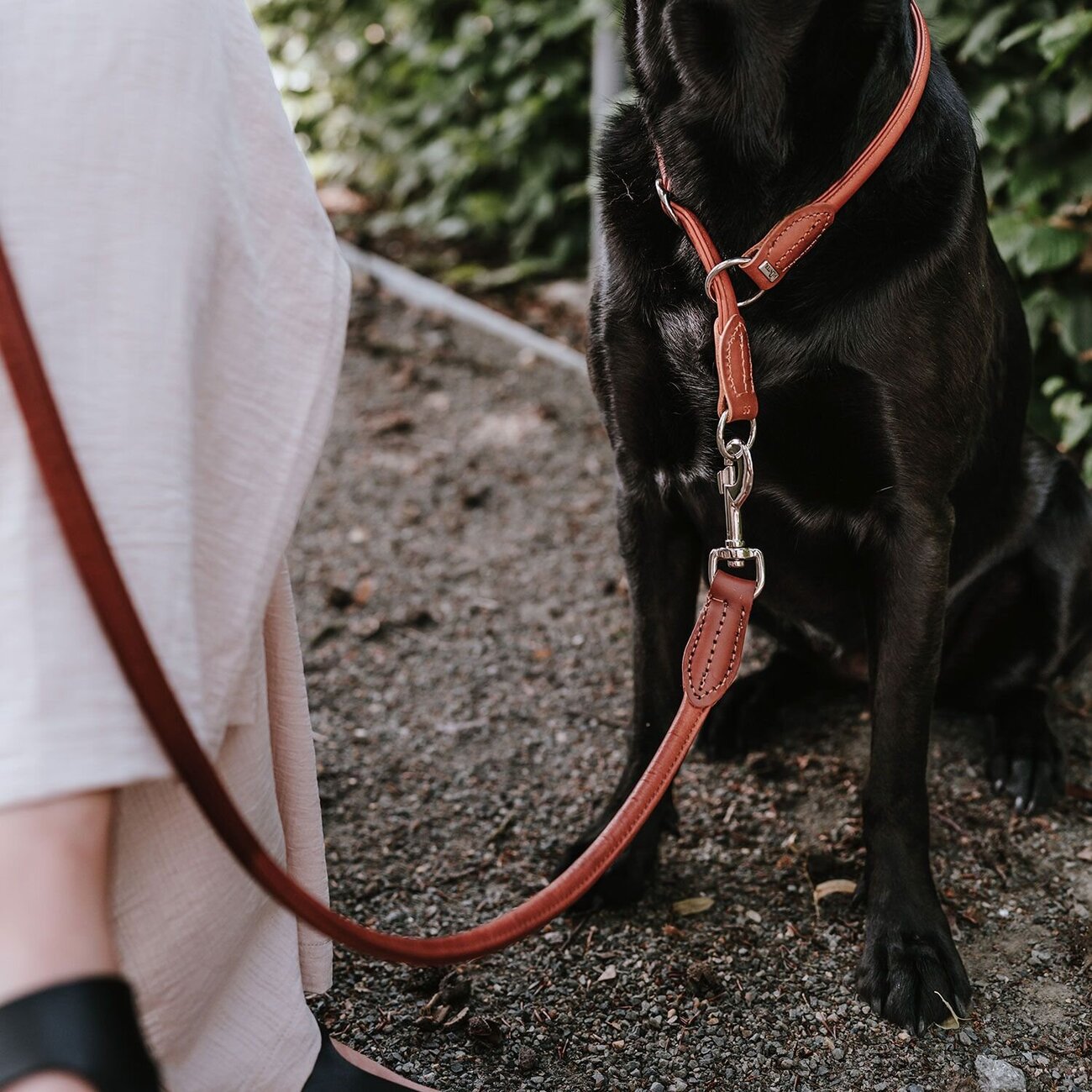 Dressurhalsung Round & Soft Canadian Up Bild 16