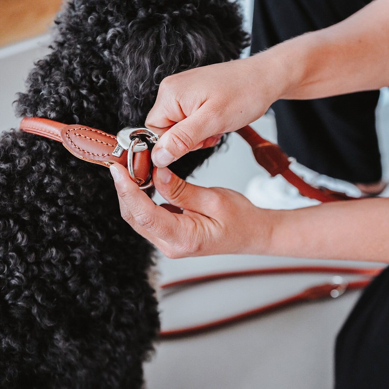 Dressurhalsung Round & Soft Canadian Up Bild 17