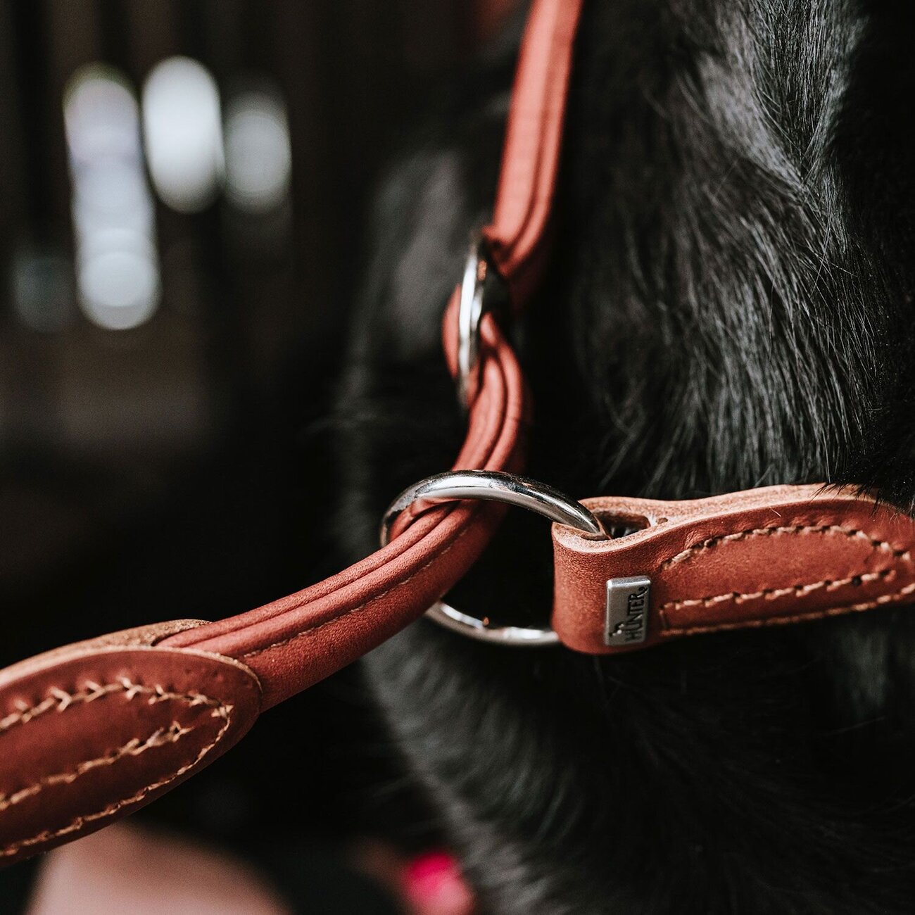 Dressurhalsung Round & Soft Canadian Up Bild 18