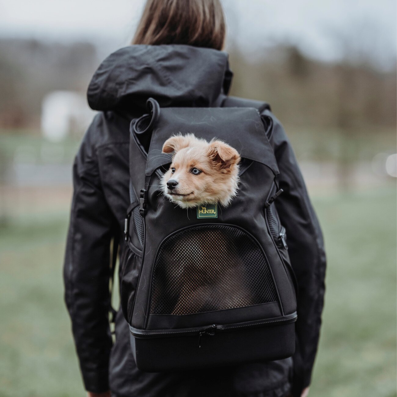Flugtasche und Rucksack Miles für Hunde Bild 3