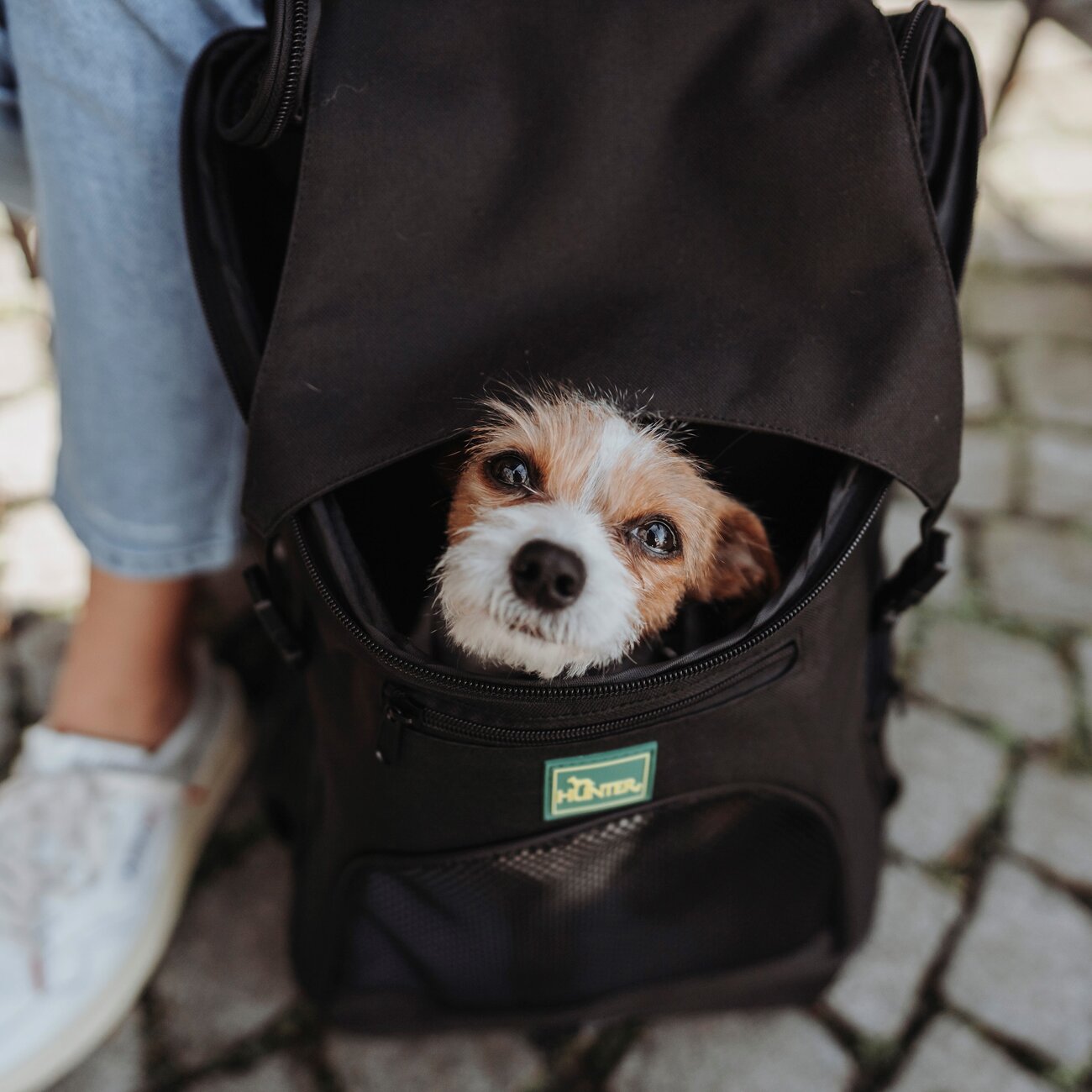 Flugtasche und Rucksack Miles für Hunde Bild 4
