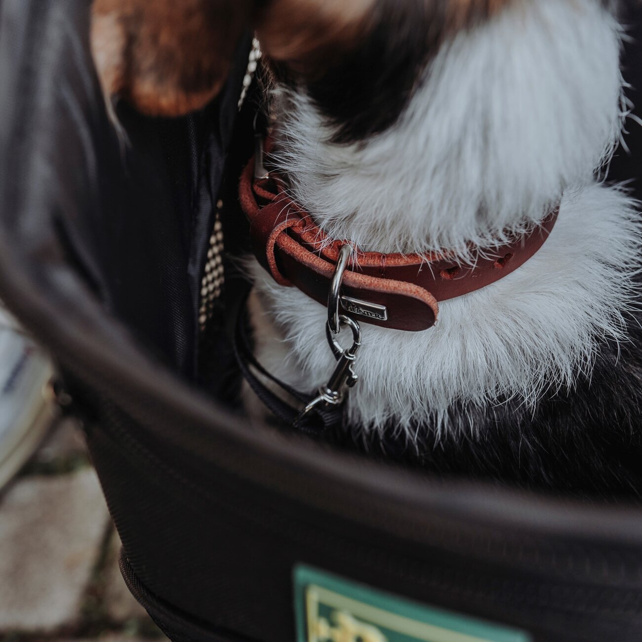 Flugtasche und Rucksack Miles für Hunde Bild 6