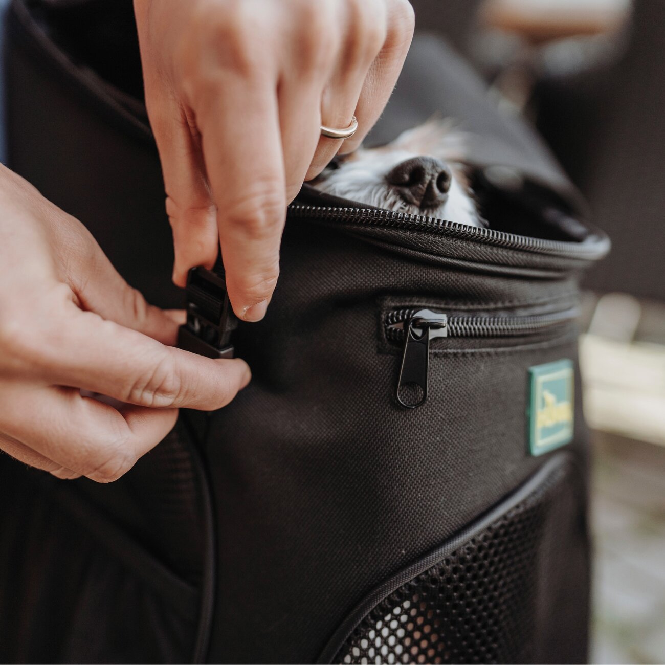 Flugtasche und Rucksack Miles für Hunde Bild 7