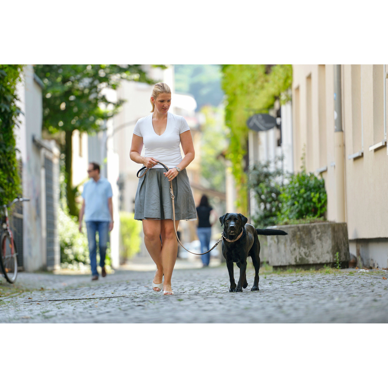 Hunter Führleine Basic Bild 3