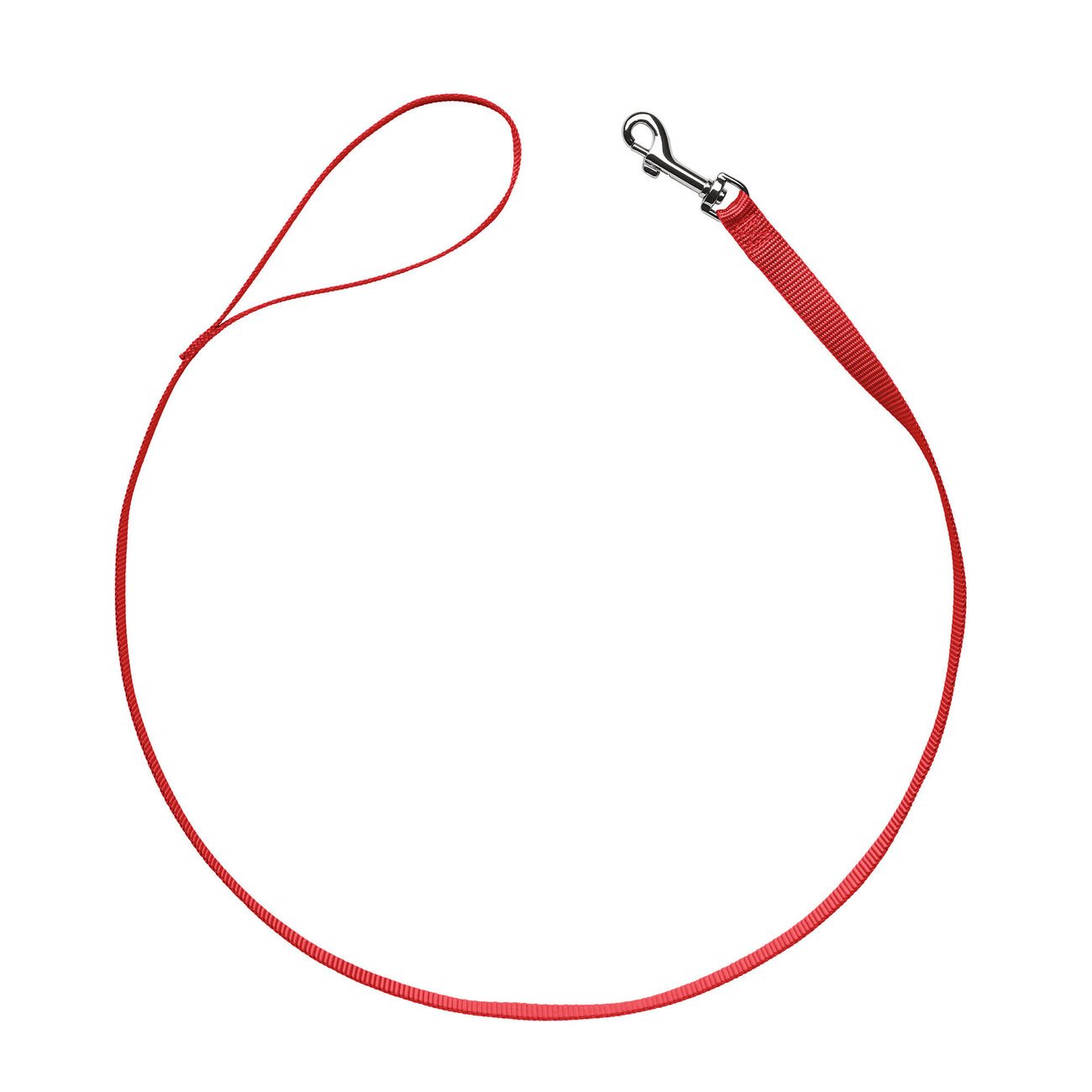 Hunter Führleine London Bild 21