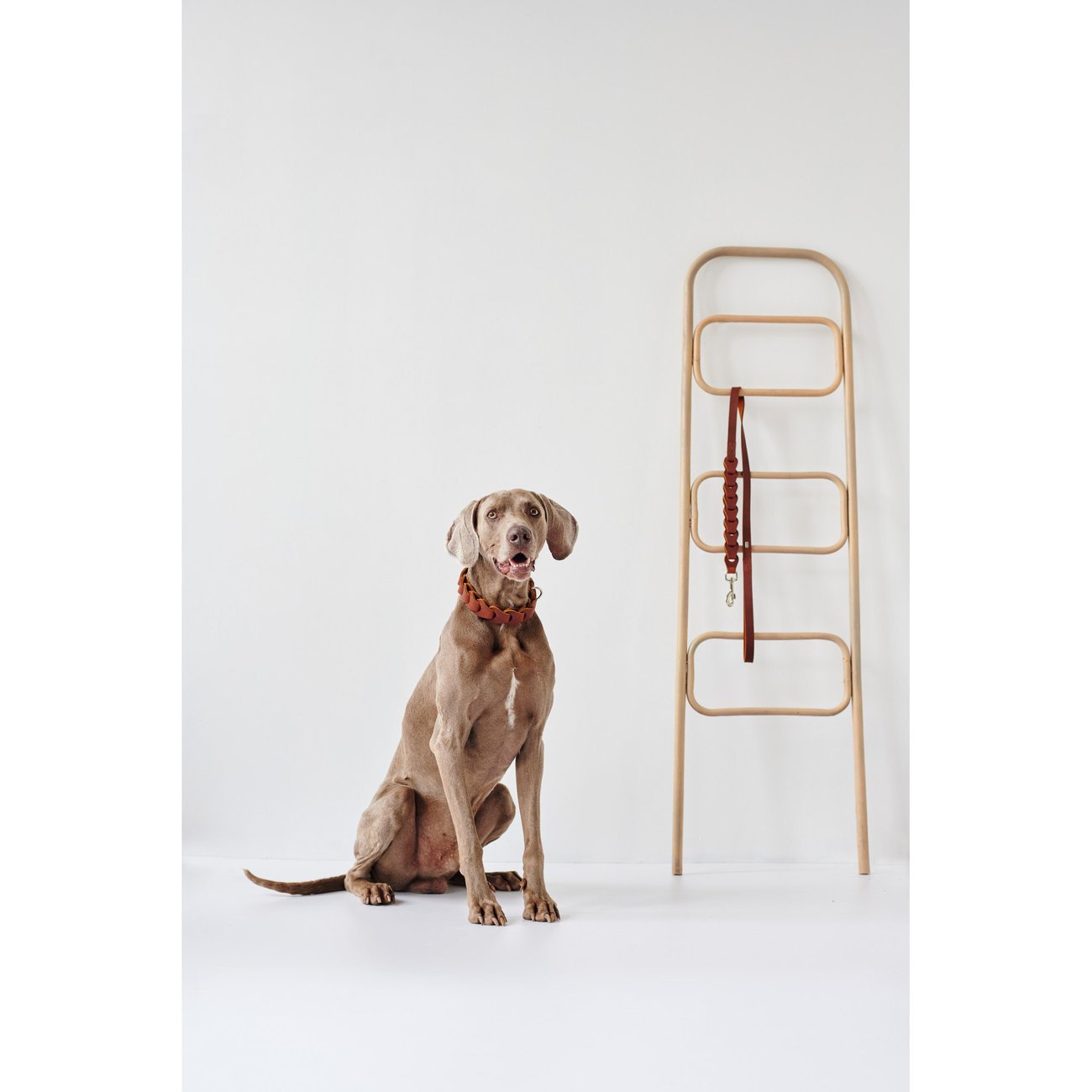 Führleine Solid Education Chain Bild 3