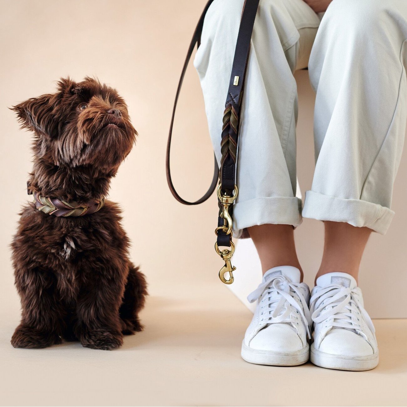 Führleine Solid Education Duo Bild 3