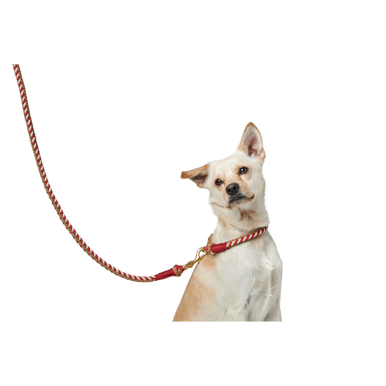 Hunter Führleine Tinnum Bild 8