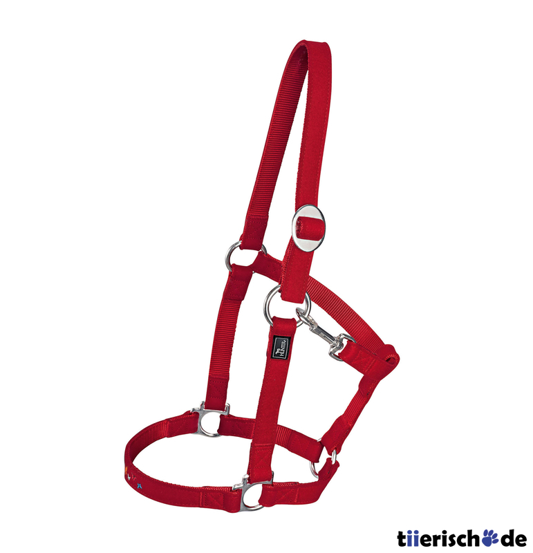 Hunter Halfter Schmetterling Bild 1